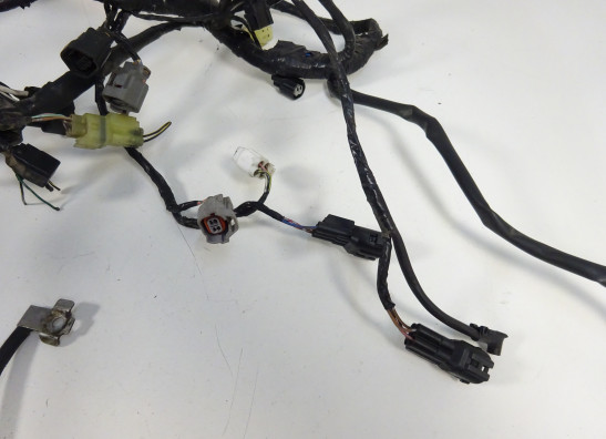 Wire Harness Kawasaki ER 6