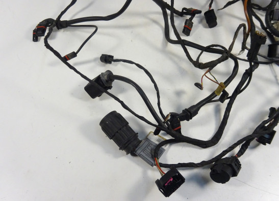 Kabelboom BMW F 800 S - ST