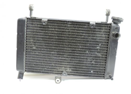 Kuhler Yamaha FZR 600