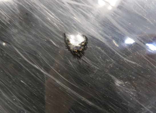 Cowl Left lower Honda CBR 900 RR