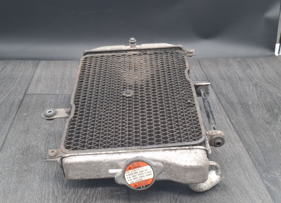 Radiateur Suzuki Burgman 650