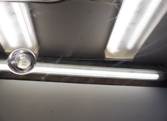 Kuipruit Yamaha Overige Yamaha