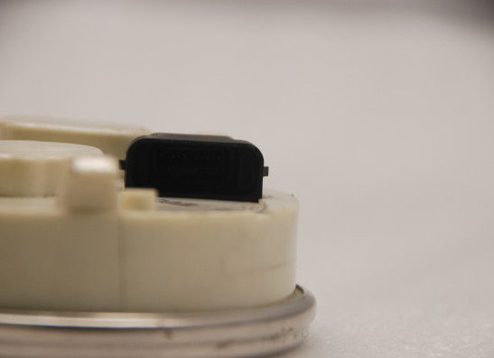 Teller Harley Davidson Softtail