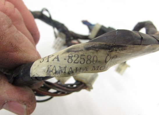 Kabelbaum vorne Yamaha FJ 1200