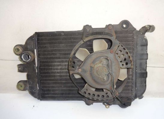 Kuhler Kawasaki VN 700  750