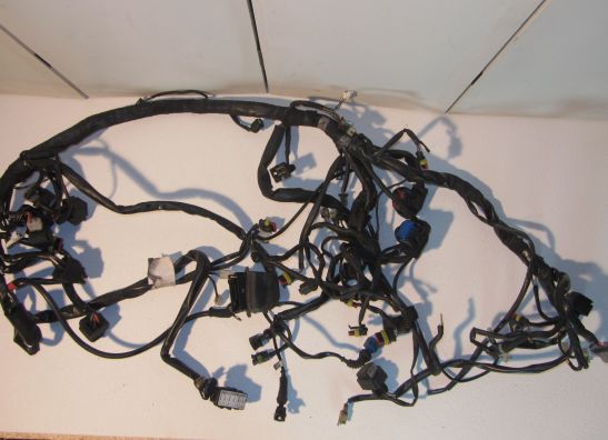 Kabelboom Moto Guzzi Norge