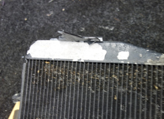 Radiator Yamaha YZF R1