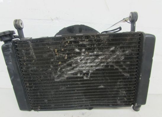 Kuhler Yamaha FZR 600