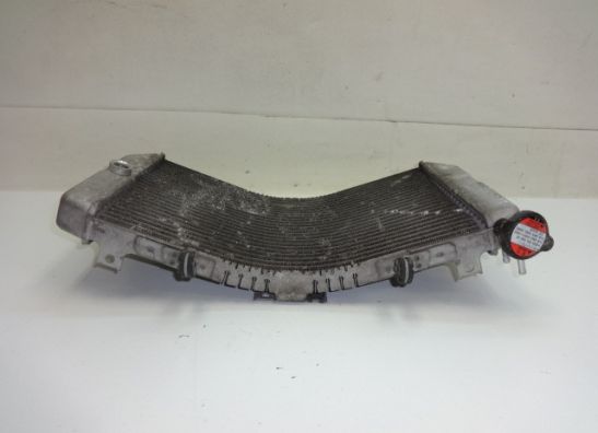 Radiator Suzuki GSX R 1000