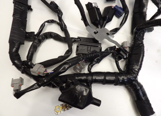 Wire Harness Kawasaki ZX 10 R