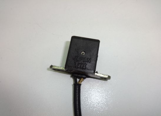 Dynamo Kawasaki ZZR 250