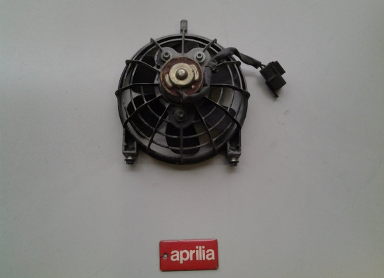 Fan Aprilia RSV 1000