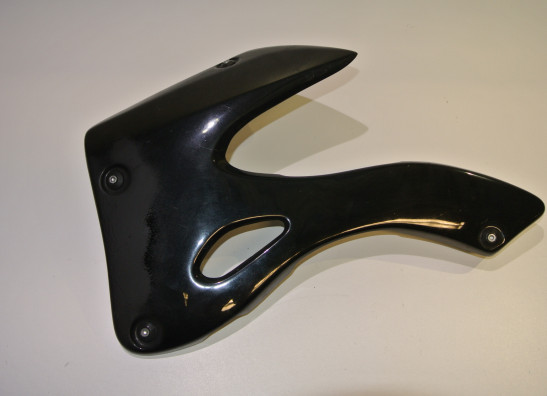 Seiten verkleidung links Kawasaki Z 750