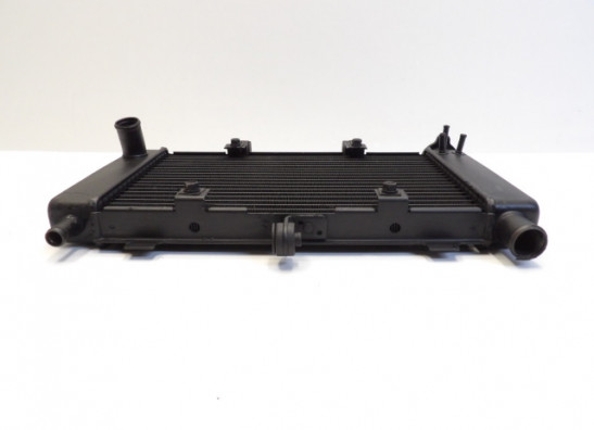Radiator Yamaha FZ6