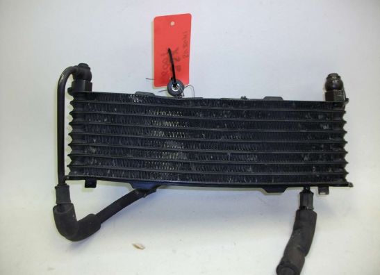 Olkuhler Suzuki GSX F 600