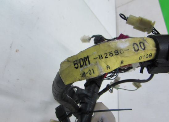 Wire Harness Yamaha FAZER 600