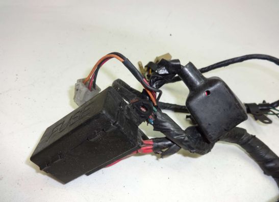 Kabelboom Yamaha TDM