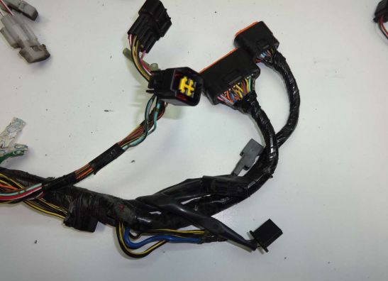 Kabelbaum Kawasaki ER 6