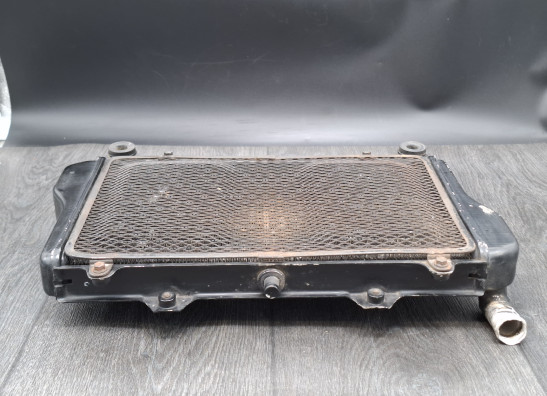 Radiator Kawasaki GPZ 900