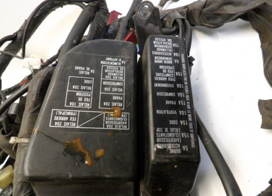 Kabelboom Honda Goldwing GL