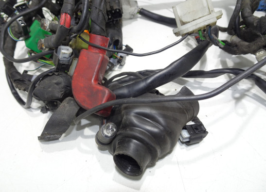 Kabelboom BMW F 650 GS