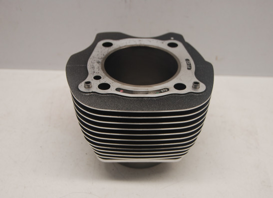 Cilinderblok Harley Davidson Softtail