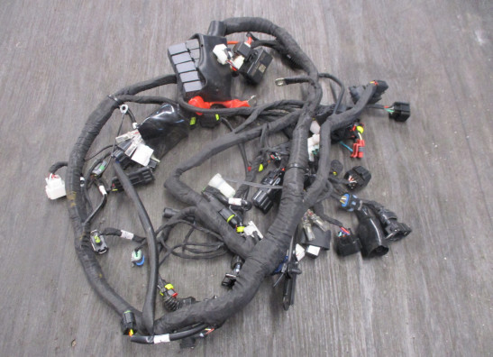 Kabelboom Benelli 502 Cruiser 2019-2021