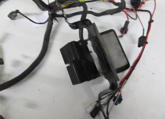 Wire Harness Suzuki GSX F 600