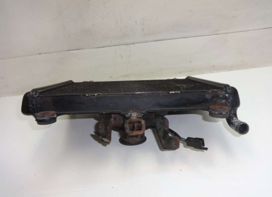 Kuhler Kawasaki GPZ 600