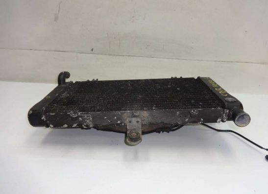 Radiator Honda CBR 1000 F