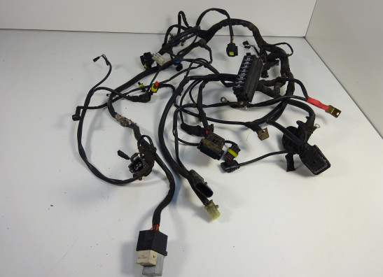 Kabelboom Ducati monster 600 2002-2007