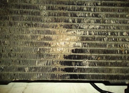 Radiateur Suzuki SV 650