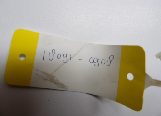 Auspuff Kawasaki Z 800