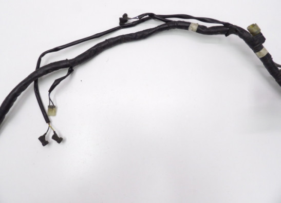 Wire Harness Honda CBR 1100 XX