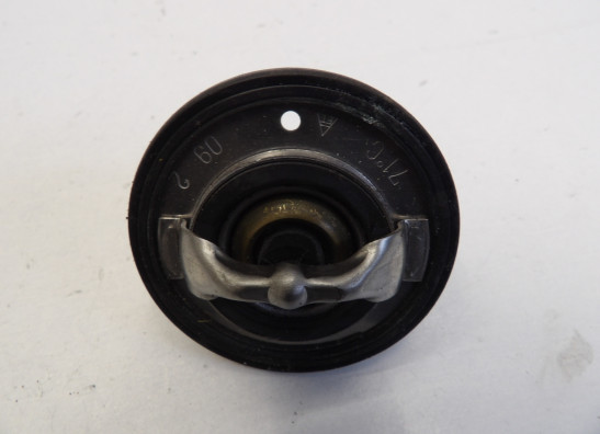 Thermostaat Yamaha YZF R6