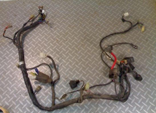 Wire Harness Yamaha FZR 600