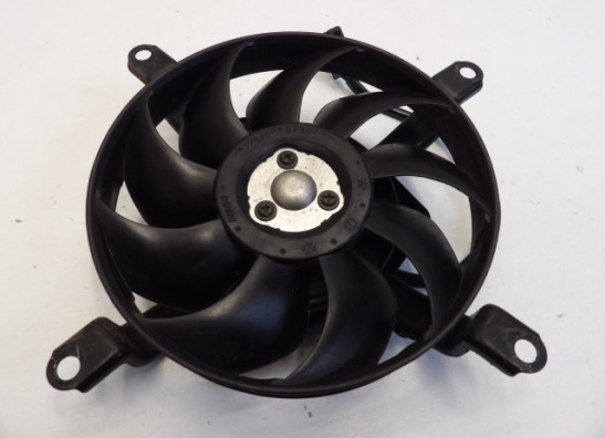 Fan Yamaha FZ6