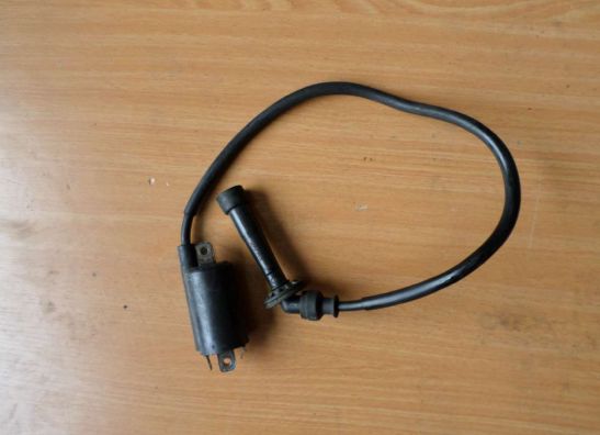 Bobine Suzuki TL 1000