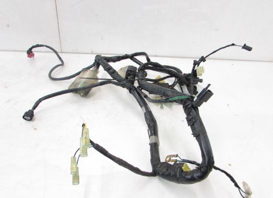 Kabelboom Honda CBF 600