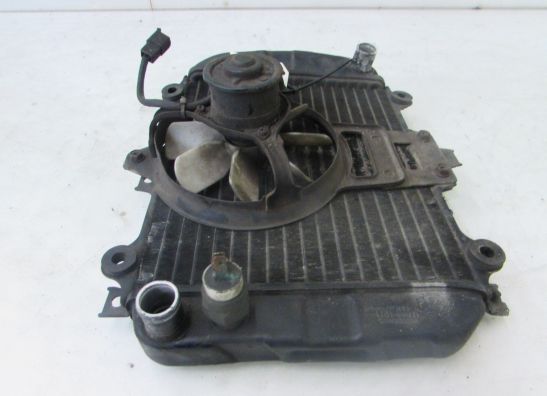 Kuhler Kawasaki KLE 500