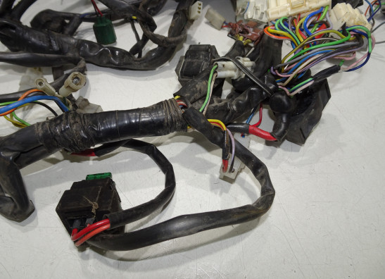 Wire Harness Aprilia RSV 1000