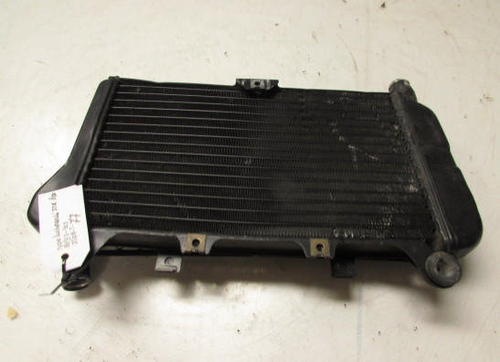 Radiateur Kawasaki ZZR 600