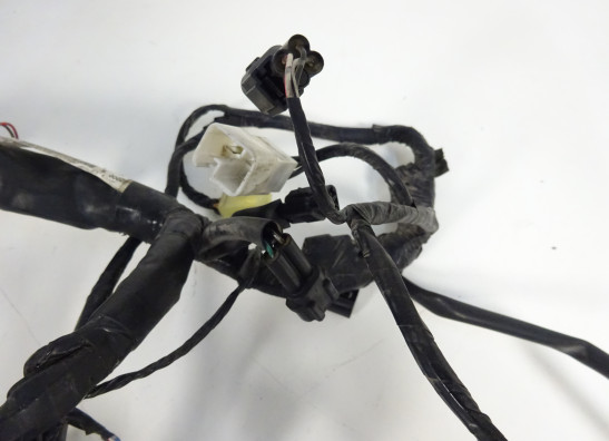 Wire Harness Kawasaki ER 6