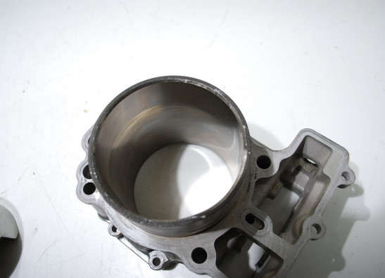 Zylinder Suzuki SV 1000