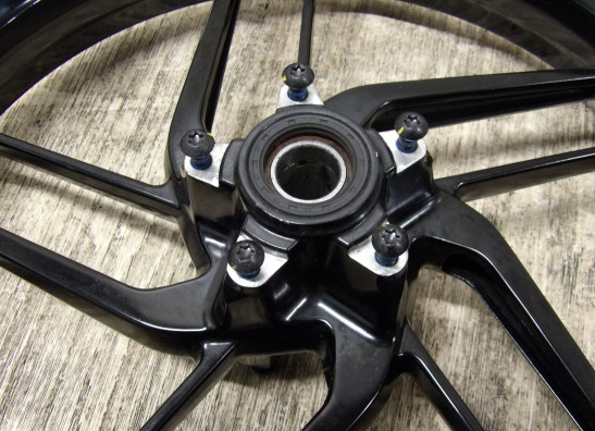 Voorvelg Ducati Monster 1200