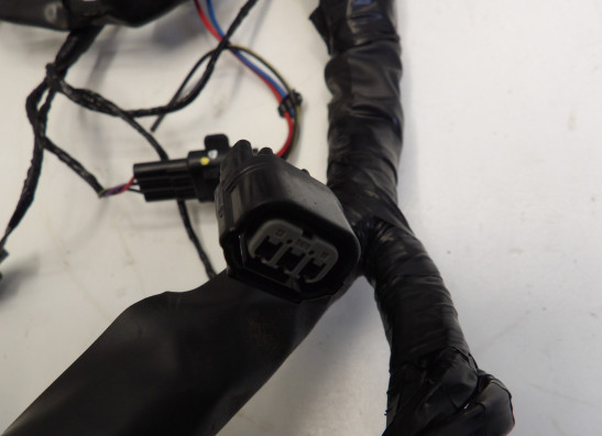 Kabelboom Kawasaki 650 Vulcan S