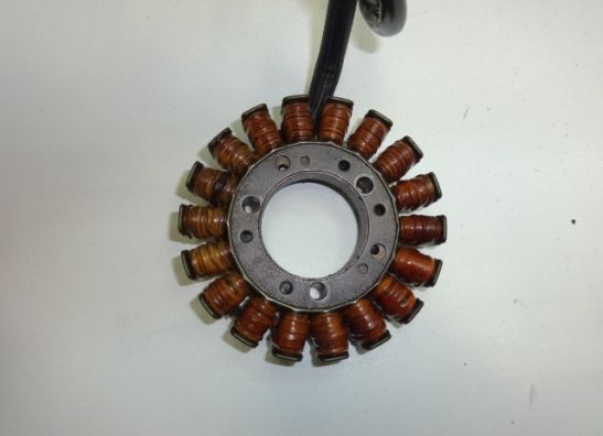 Dynamo Kawasaki ZZR 600