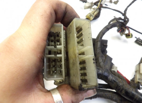 Kabelboom Yamaha FJ 1200