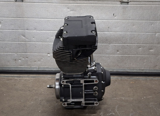 Motorblok Harley Davidson Softtail