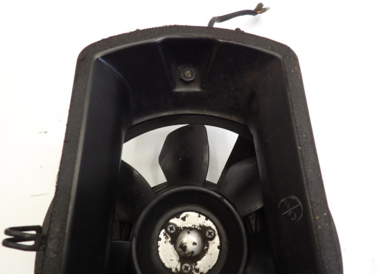 Fan Suzuki VS 800 Intruder